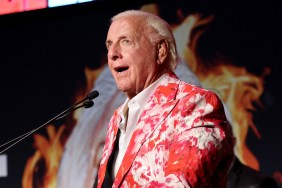 Ric Flair