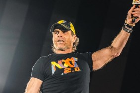 shawn michaels