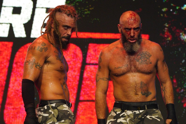 the briscoes