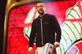 cm punk