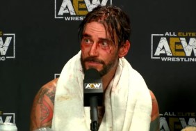 cm punk