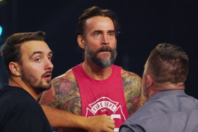 cm punk