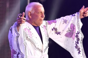 ric flair