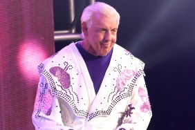 ric flair