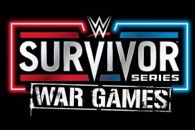 wwe survivor series results