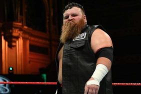 Dave Mastiff WWE