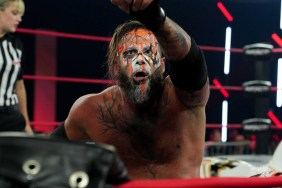 crazzy steve