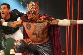 rey fenix