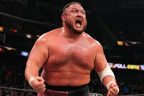 samoa joe