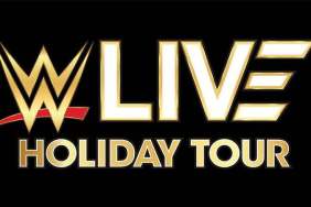 WWE Live Holiday Tour