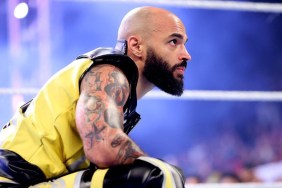 WWE Ricochet