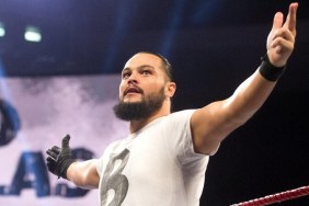 Bo Dallas WWE Mike Rotunda Son