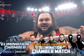 Bronson Reed WWE Elimination Chamber