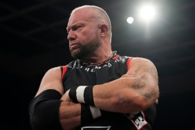 bully ray