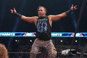 matt hardy