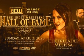 Cheerleader Melissa Hall of Fame