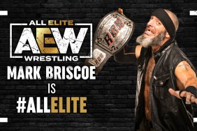 Mark Briscoe is All Elite