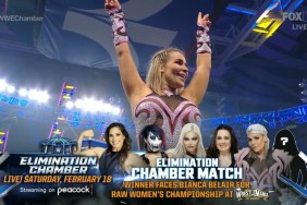 Natalya WWE SmackDown