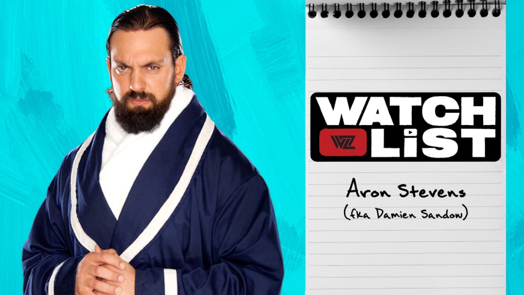 aron stevens damien sandow