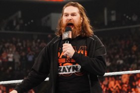 sami zayn