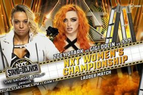 NXT Women's Title Ladder Match NXT Stand And Deliver