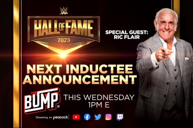 Ric Flair WWE