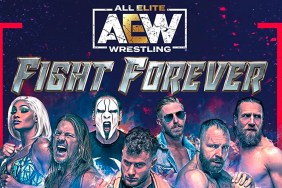 aew fight forever