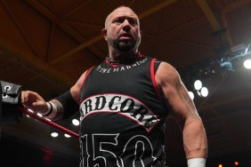 bully ray