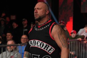 bully ray