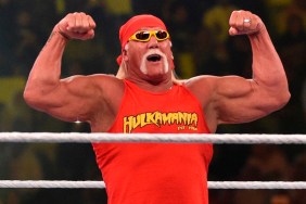 hulk hogan