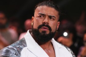 andrade el idolo