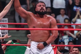 andrade el idolo