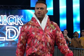 nick aldis