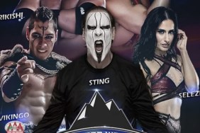 Sting Vikingo Global Pro Wrestling