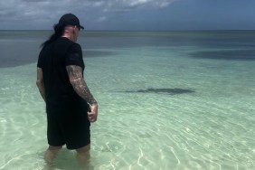 the undertaker shark