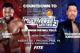 IMPACT Multiverse United 2 Kenny King