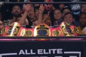 The Acclaimed AEW World Trios Championship AEW Dynamite