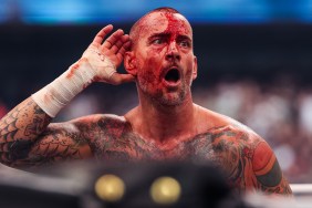 cm punk