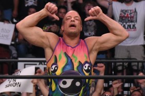 rob van dam