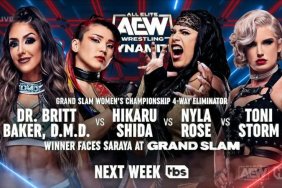 AEW Dynamite Britt Baker Nyla Rose Toni Storm Hikaru Shida