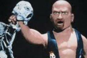 steve austin celebrity deathmatch