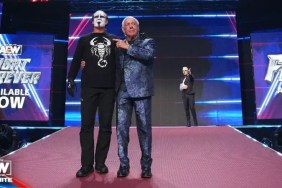 Ric Flair Sting AEW