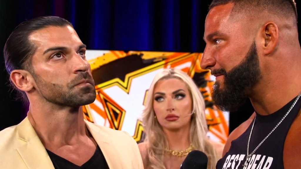 mr stone bron breakker