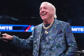 ric flair