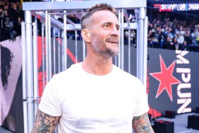 CM Punk