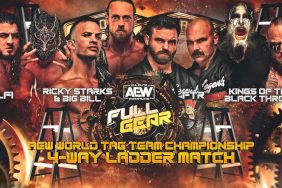 AEW Full Gear Ladder Match