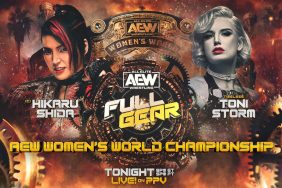 AEW Full Gear Hikaru Shida Toni Storm