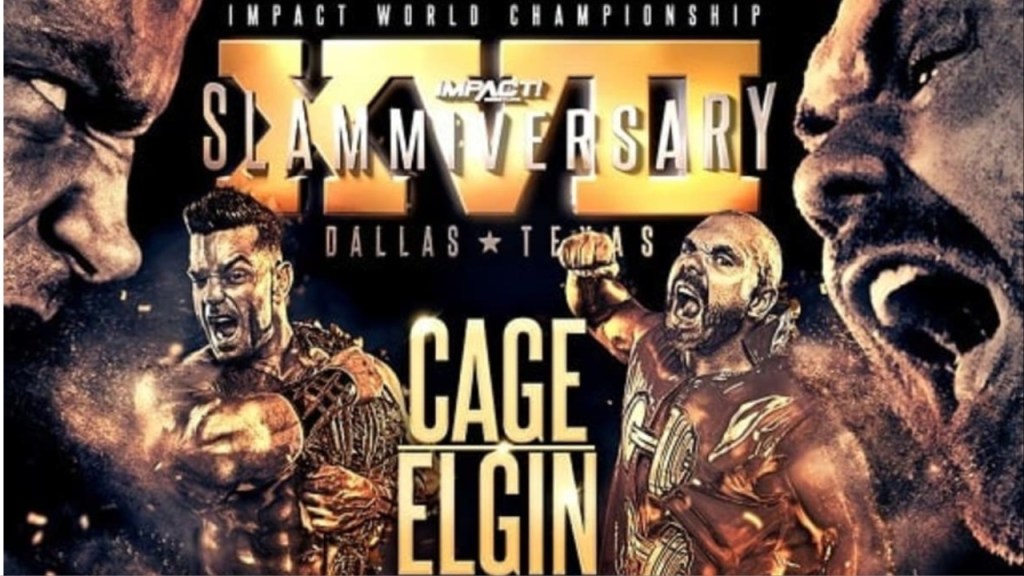 IMPACT Wrestling Slammiversary XVII co-main event.