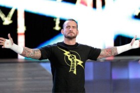 CM Punk WWE RAW entrance