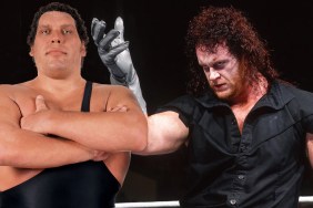 andre the giant the undertaker